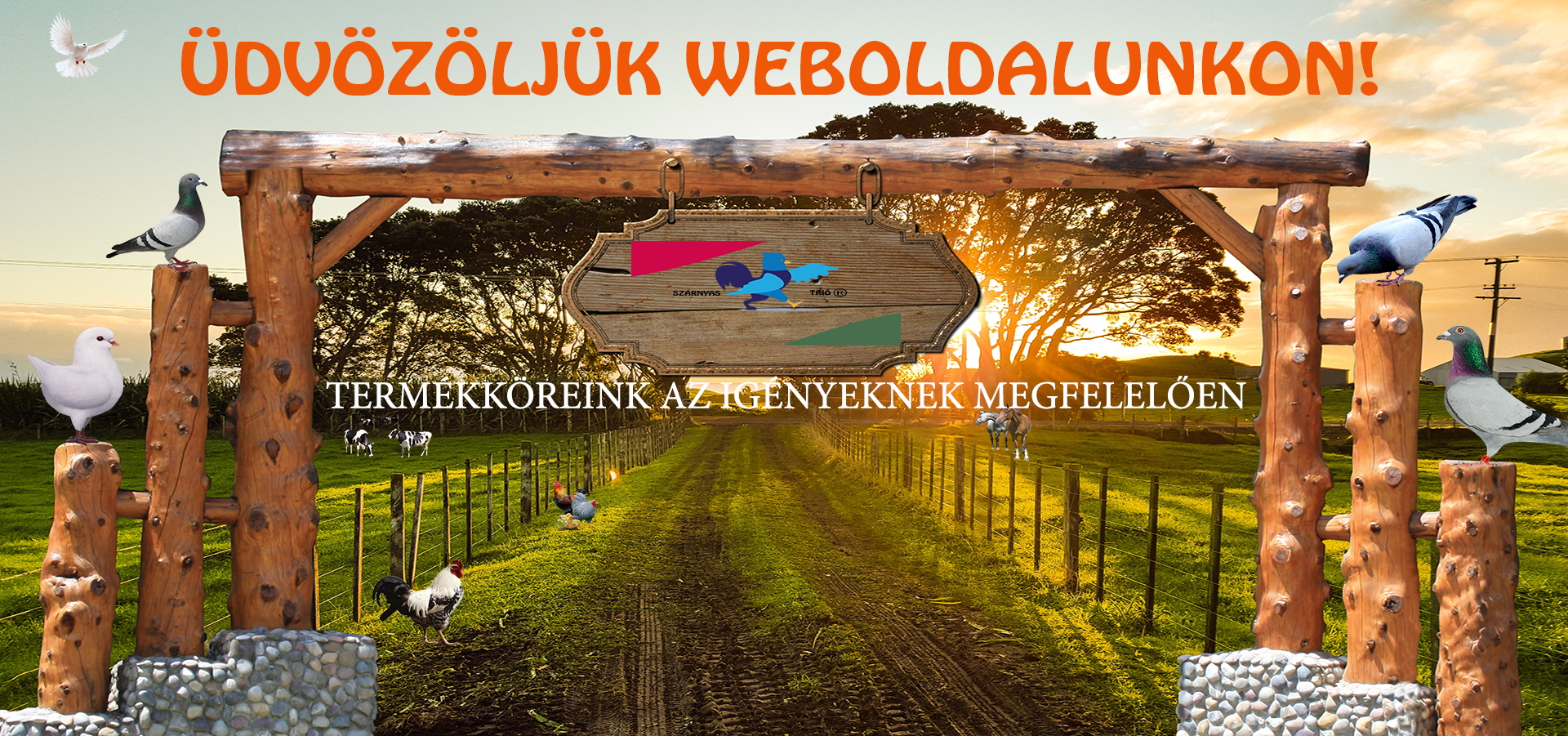 slide-1