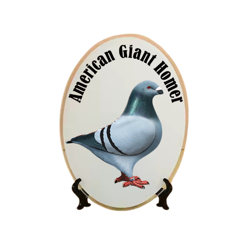 Üveg Képkeret